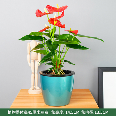 绿色仿金属蓄水盆